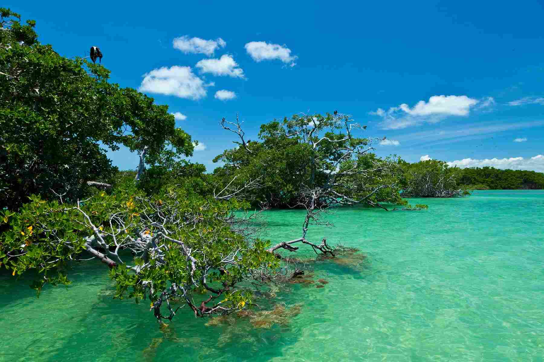 sian-kaan-deluxe-wildlife-snorkeling-tour